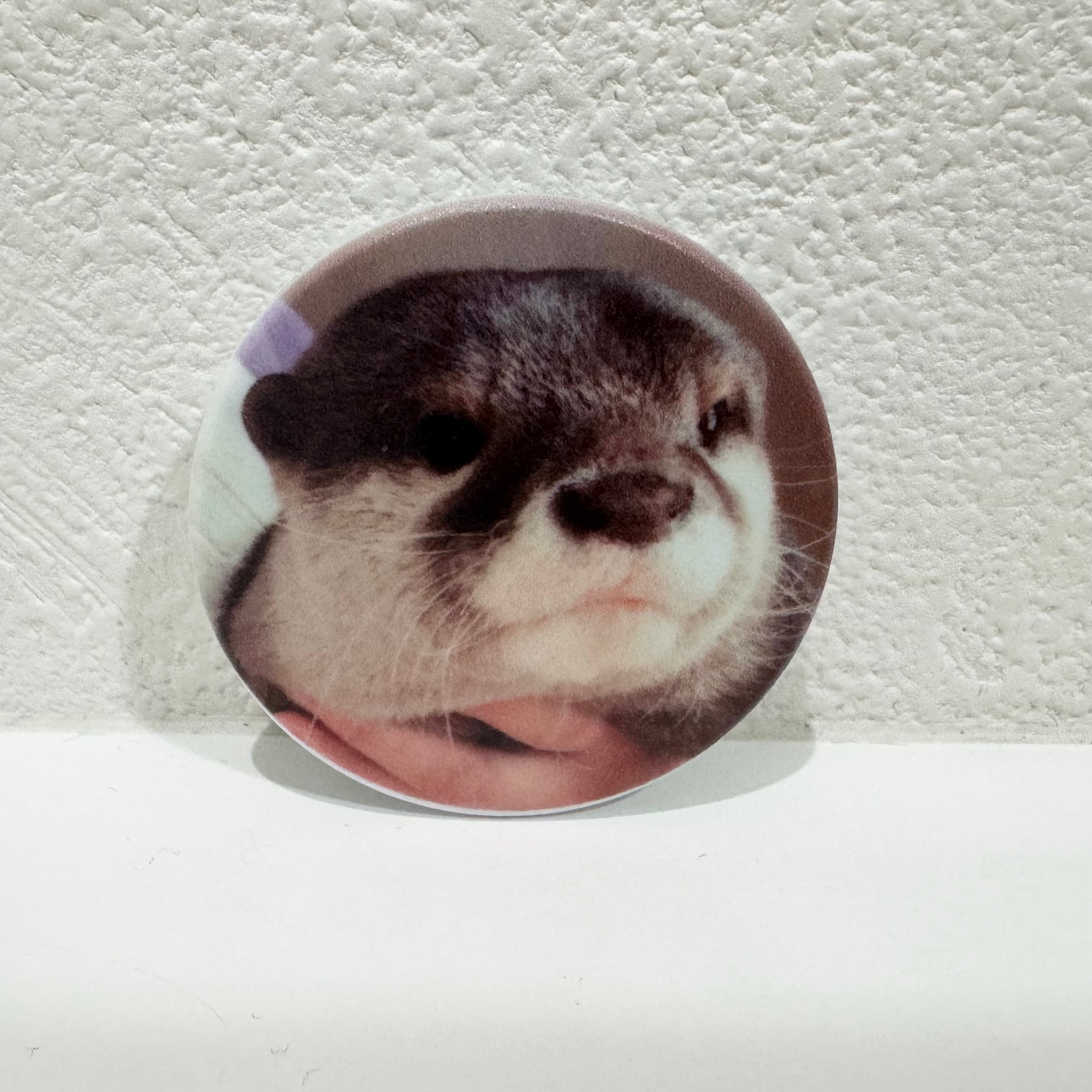 LOUTRE〜カワウソと過ごす時間〜
