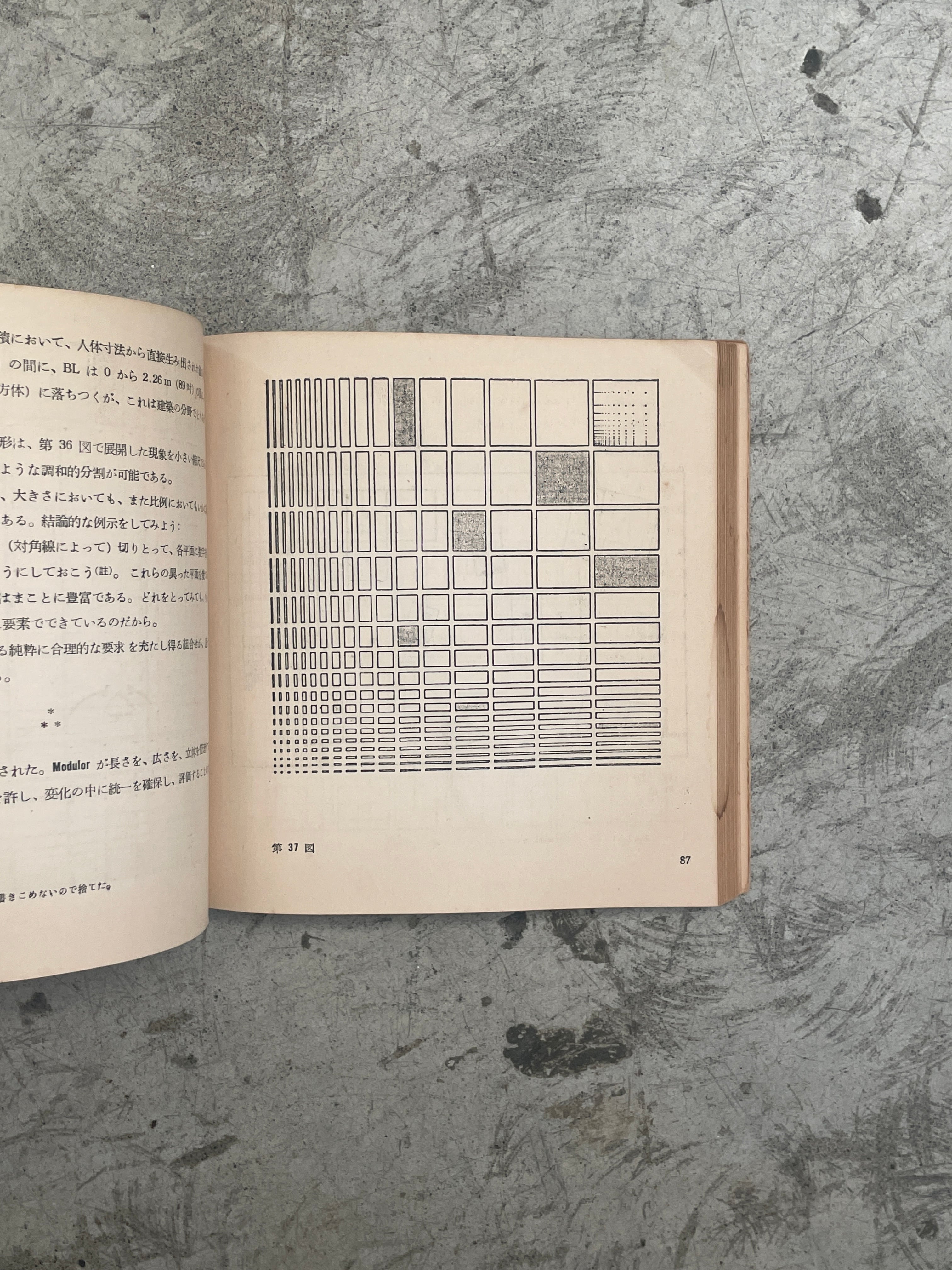 3316.ル・コルビュジエ モデュロール（黄金尺）日本版 | 帽子堂