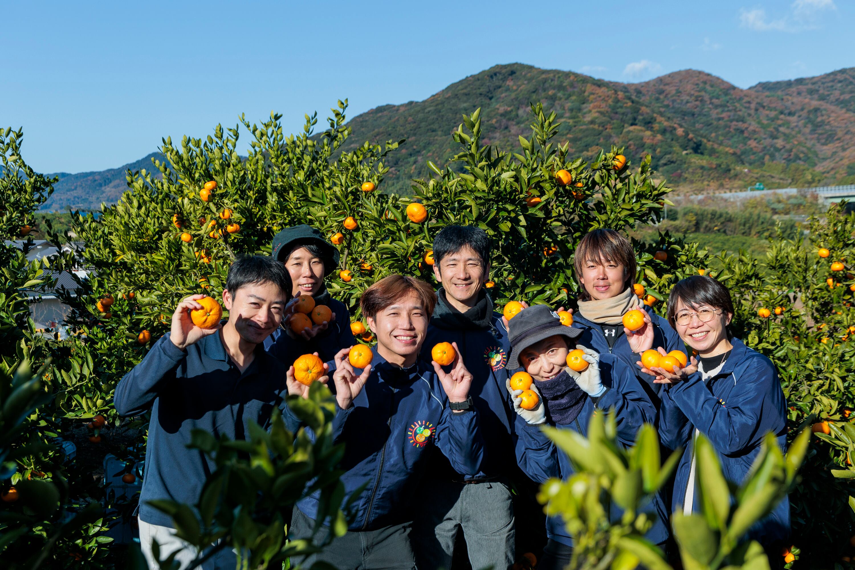 三ヶ日みかんはちみつ漬け 300g | 陽だまりファーム