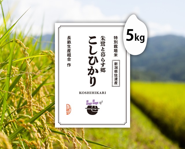 5kg 佐渡こしひかり（新潟）