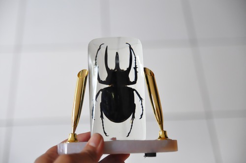アトラスオオカブトペン立て