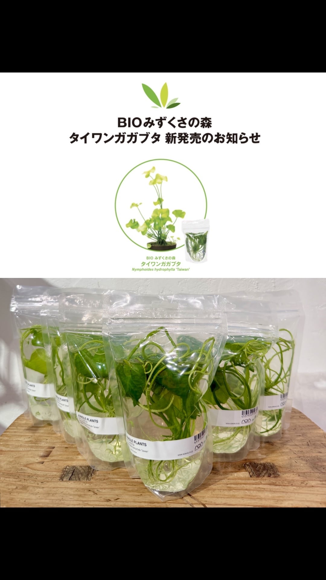 ADA】本日発売ADAの新商品！BIO みずくさの森 タイワンガガブタ