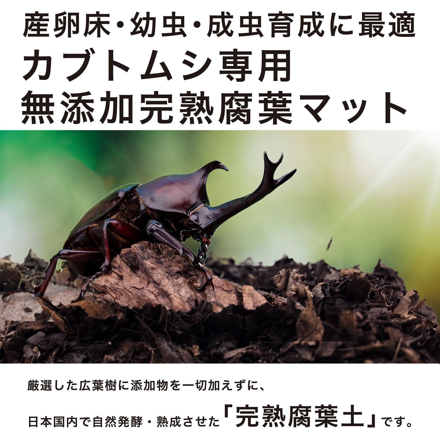カブトムシの産卵専用 特選ビートルマット【60L】添加剤少なめで産卵