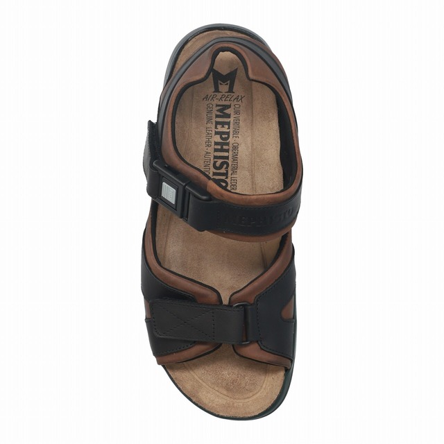 SHARK FIT 1372366 DARK BROWN
