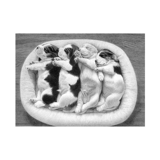 44c85f6399dc7eeb15b3f9deaa5d96 44c85f6399dc7eeb15b3f9deaa5d96