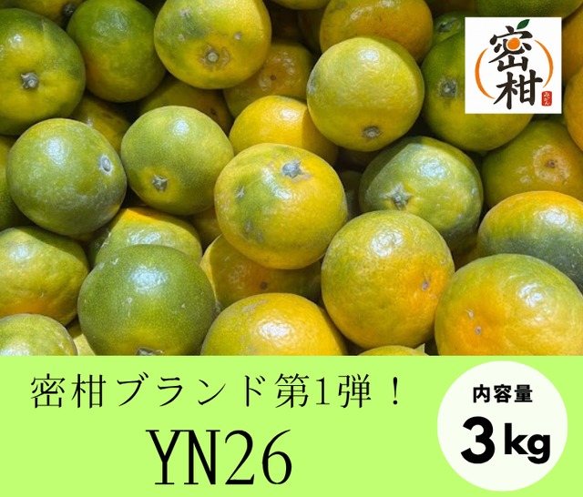 密な味わいをおすそ分け！密柑（YN26・3kg）