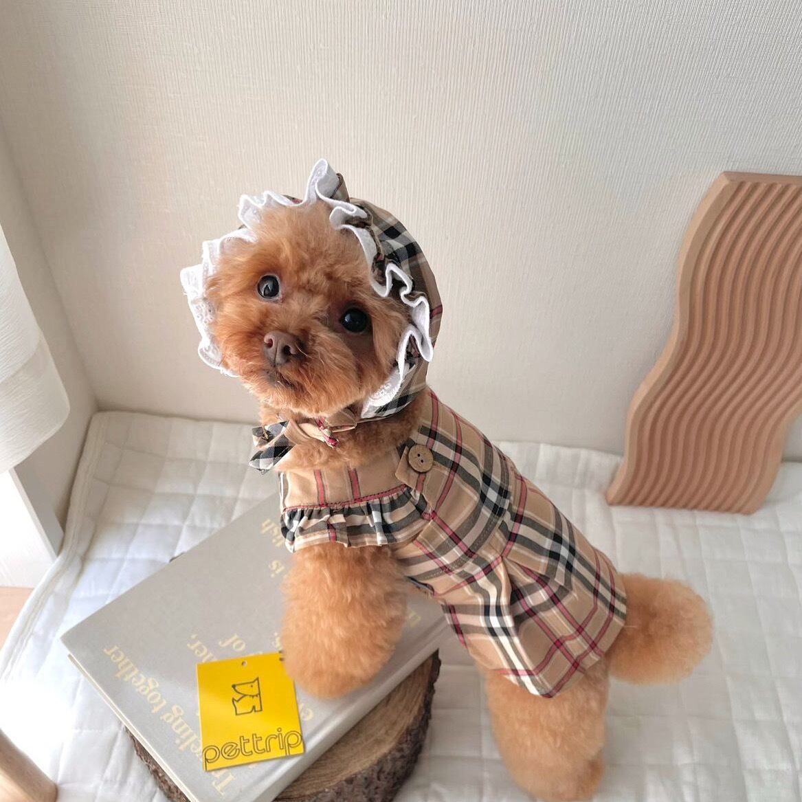 ハンドメイド　犬服　カラフルネップワッフルニットラグランパーカー　チェックパッチ ハンドメイド 犬服 カラフルネップワッフルニットラグラン