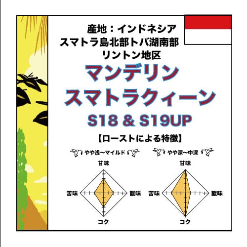 【200g】マンデリン スマトラクィーン18UP