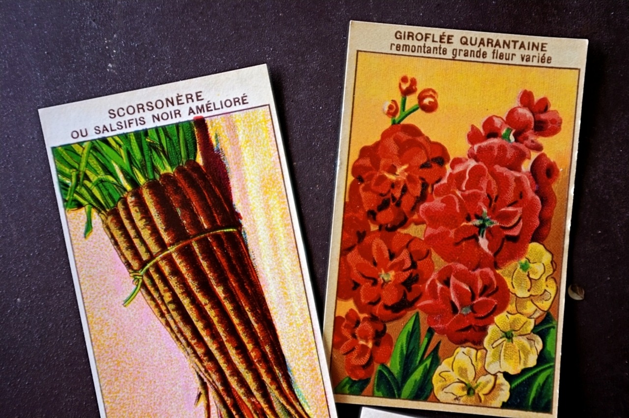 20s フランス 4set 膨満な花々と野菜たち 種子袋用ラベルm アンティーク