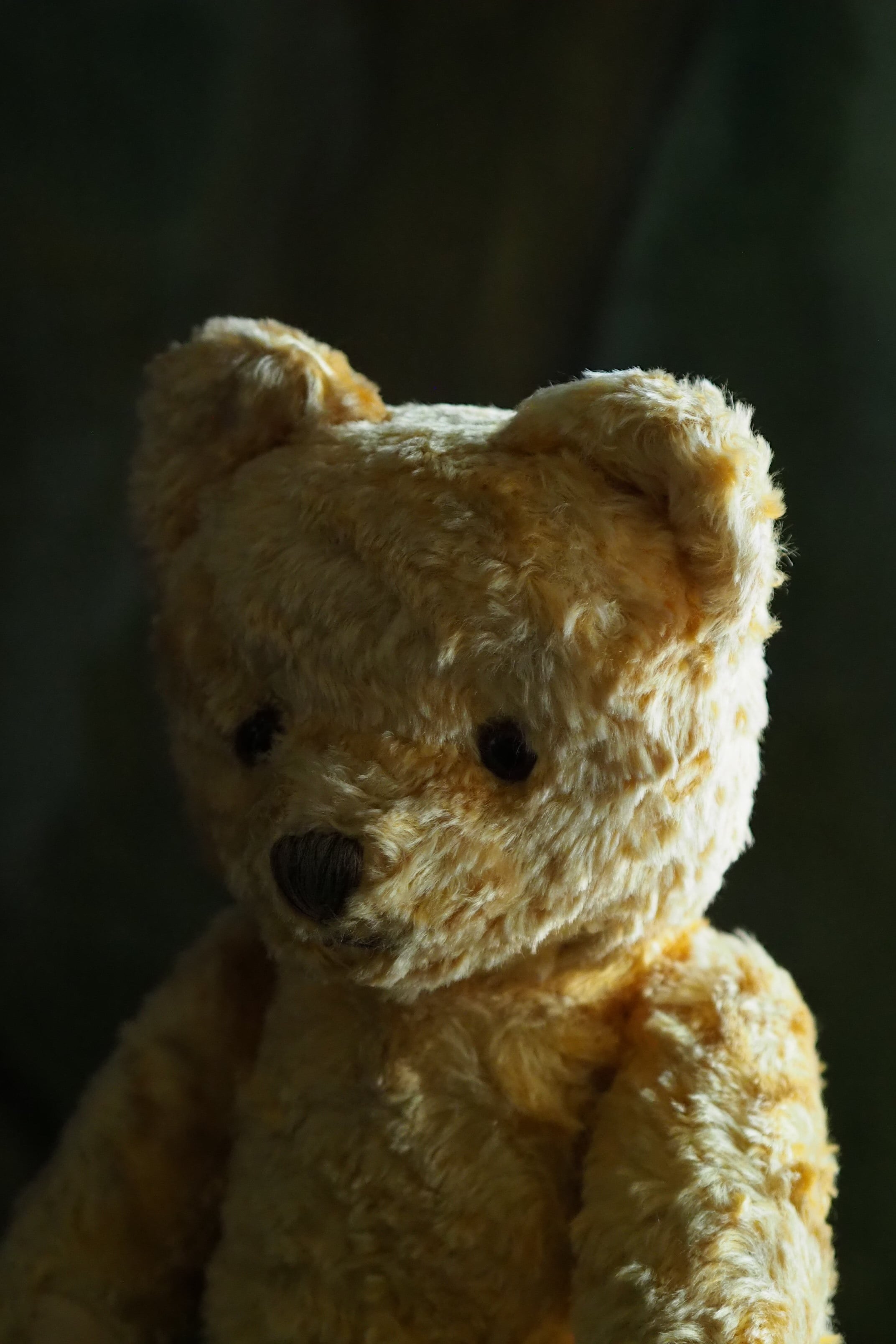 優しい色のテディベア-vintage teddy bear | アンティーク