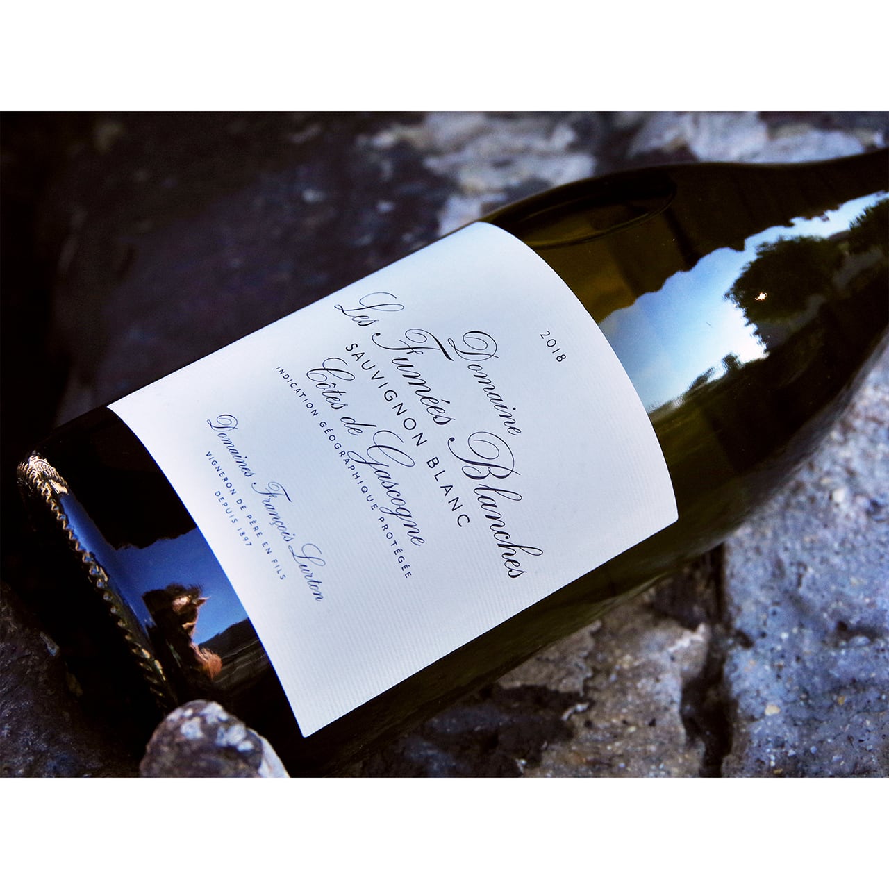 ドメーヌ・レ・フュメ・ブランシュ ソーヴィニヨン・ブラン コート・ド