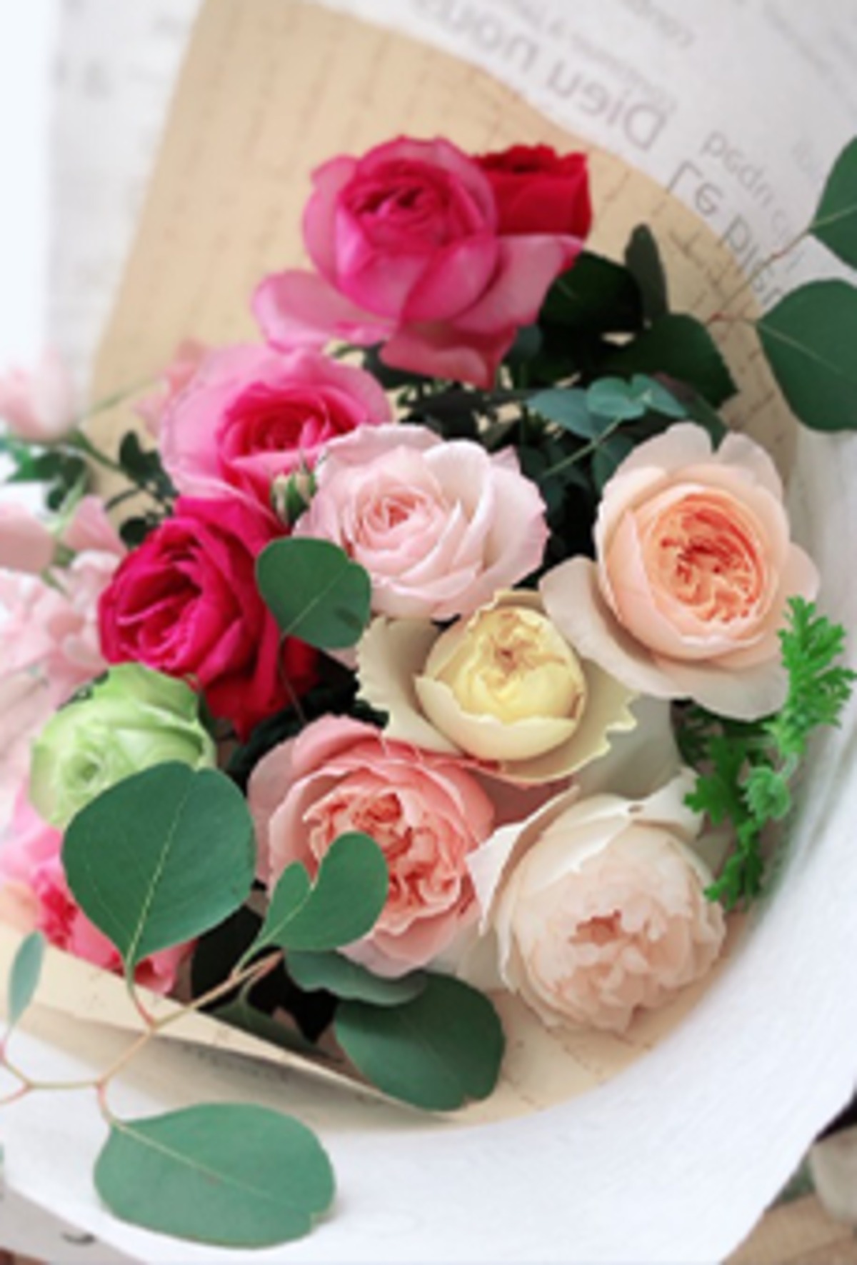 Yami_rosé様専用」 切り花品種バラ苗 3点 切り花 苗 バラ」の人気商品一覧