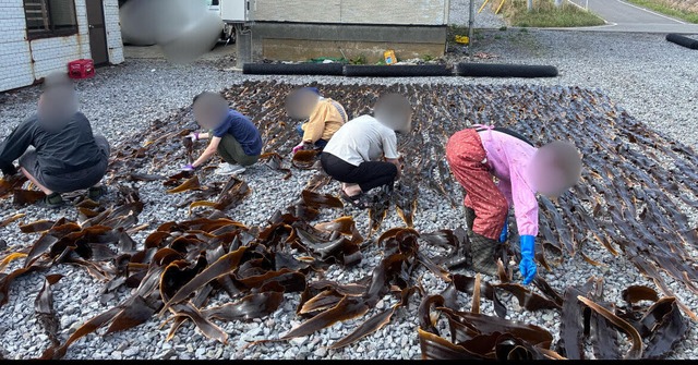 【業務用】利尻昆布　礼文島産(寝かし2年目)　15kg　＋送料