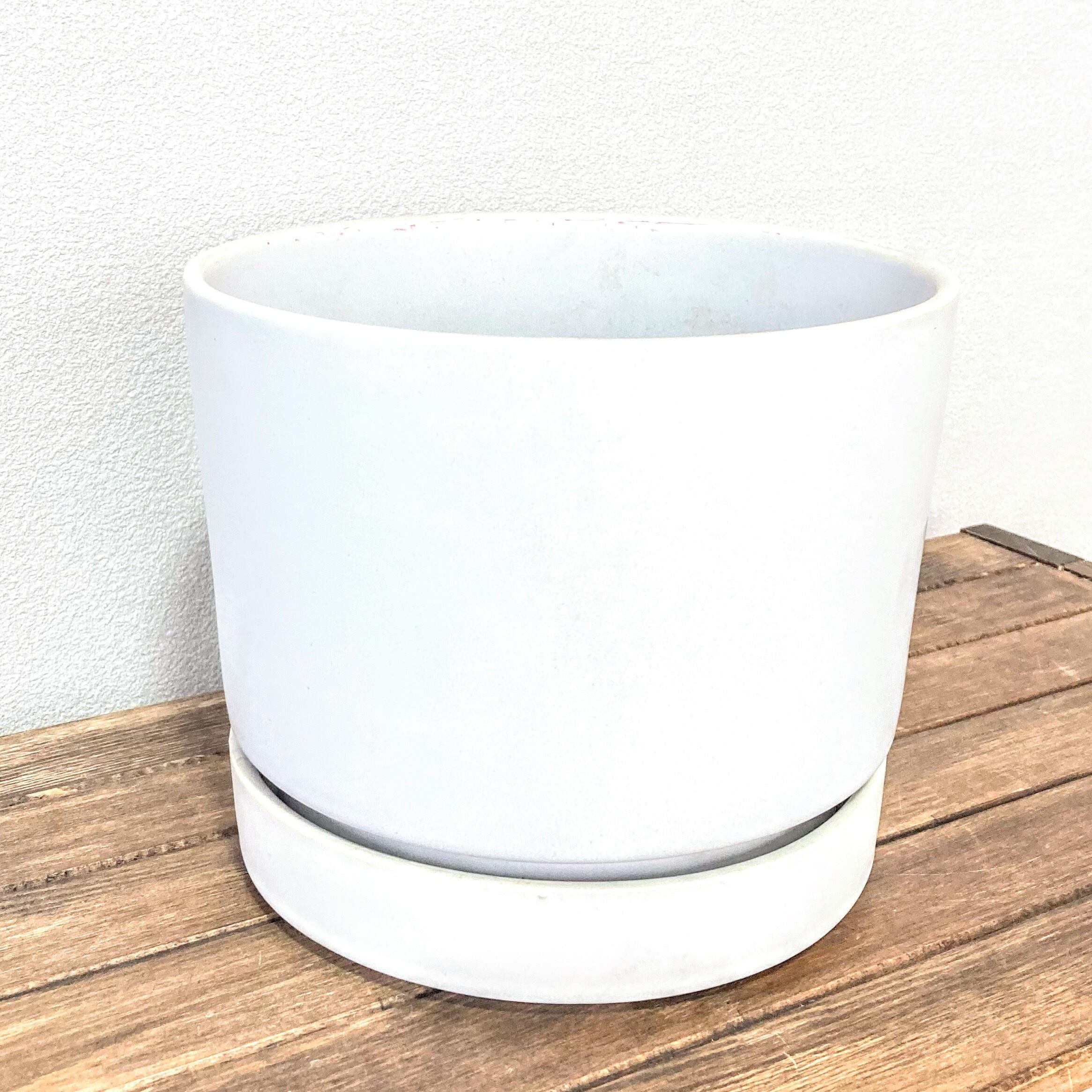 インテリア鉢 ホワイト 受け皿付き 鉢カバー 陶器鉢 Plants Link