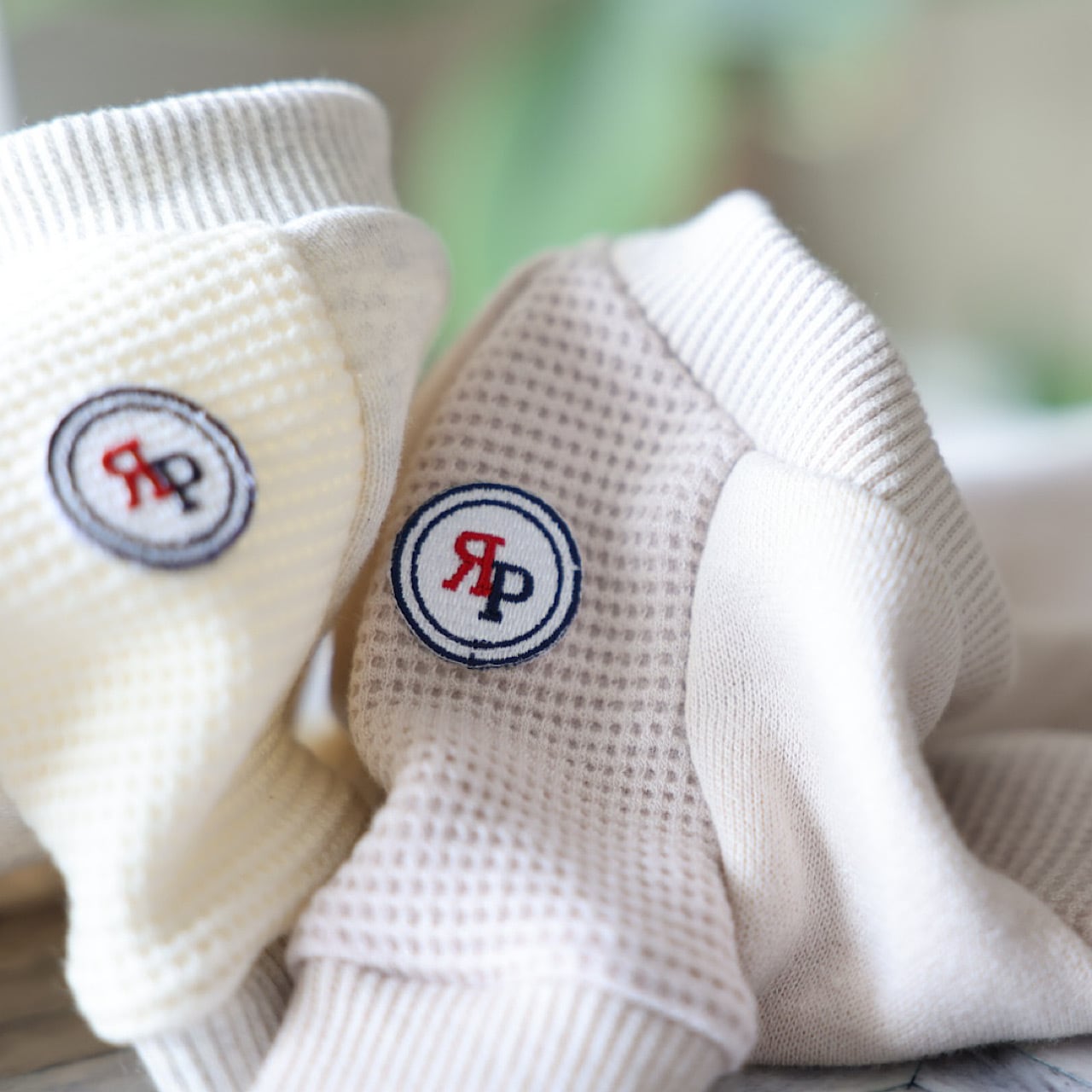 ラグラントレーナー | カニンヘンダックスとミニチュアダックス専門の