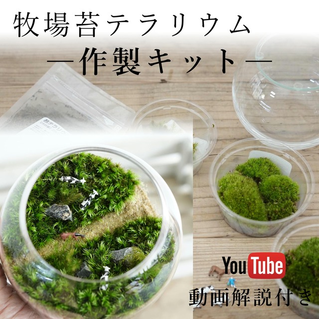 【作製キット】牧場苔テラリウム作製キット◆動画解説付き