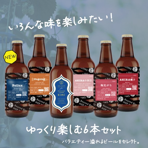 【バラエティ豊か！】ゆっくり楽しむ6本セット