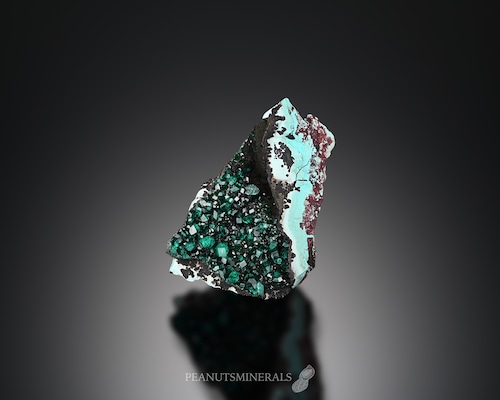 ダイオプテーズ / クリソコラ【Dioptase with Chrysocolla】コンゴ共和国産