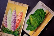 20s フランス 4set 膨満な花々と野菜たち 種子袋用ラベルx アンティーク
