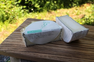 【今シーズン終了】山羊白カビチーズ Sサイズ：TSUKINOWA Spec-R（ツキノワ・スペックアール）