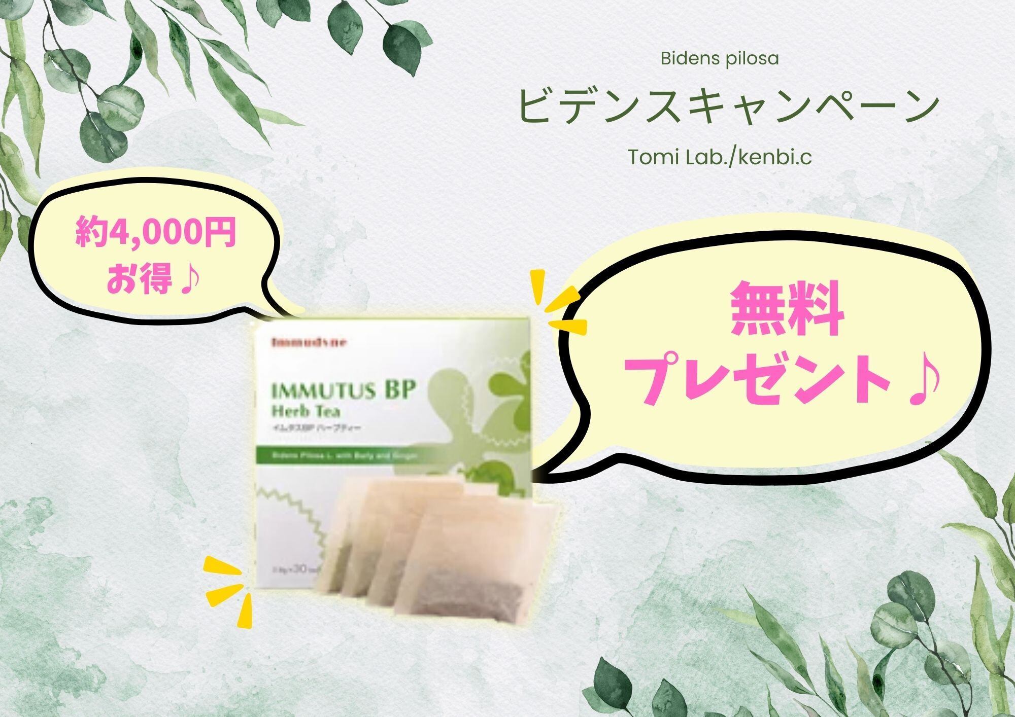 ハーブパーフェクトDX 75g (250粒) ハーブパーフェクトDX