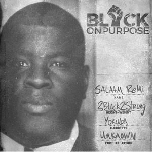 【LP】Salaam Remi - Black On Purpose（カラー ヴァイナル）