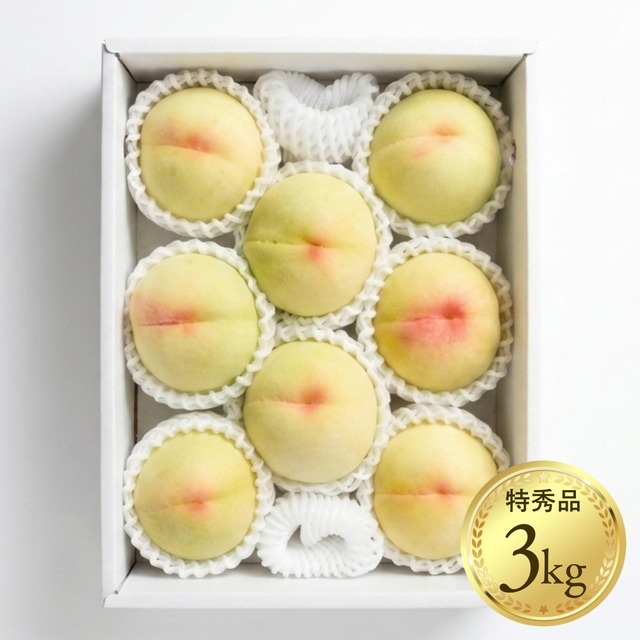 【特秀品】あら川の桃 清水白桃 約3kg（7〜9玉）