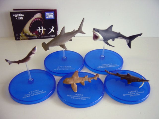 ♯Jxi01LT深海の巨大生物NHKスペシャル謎の海底サメ王国人気3種