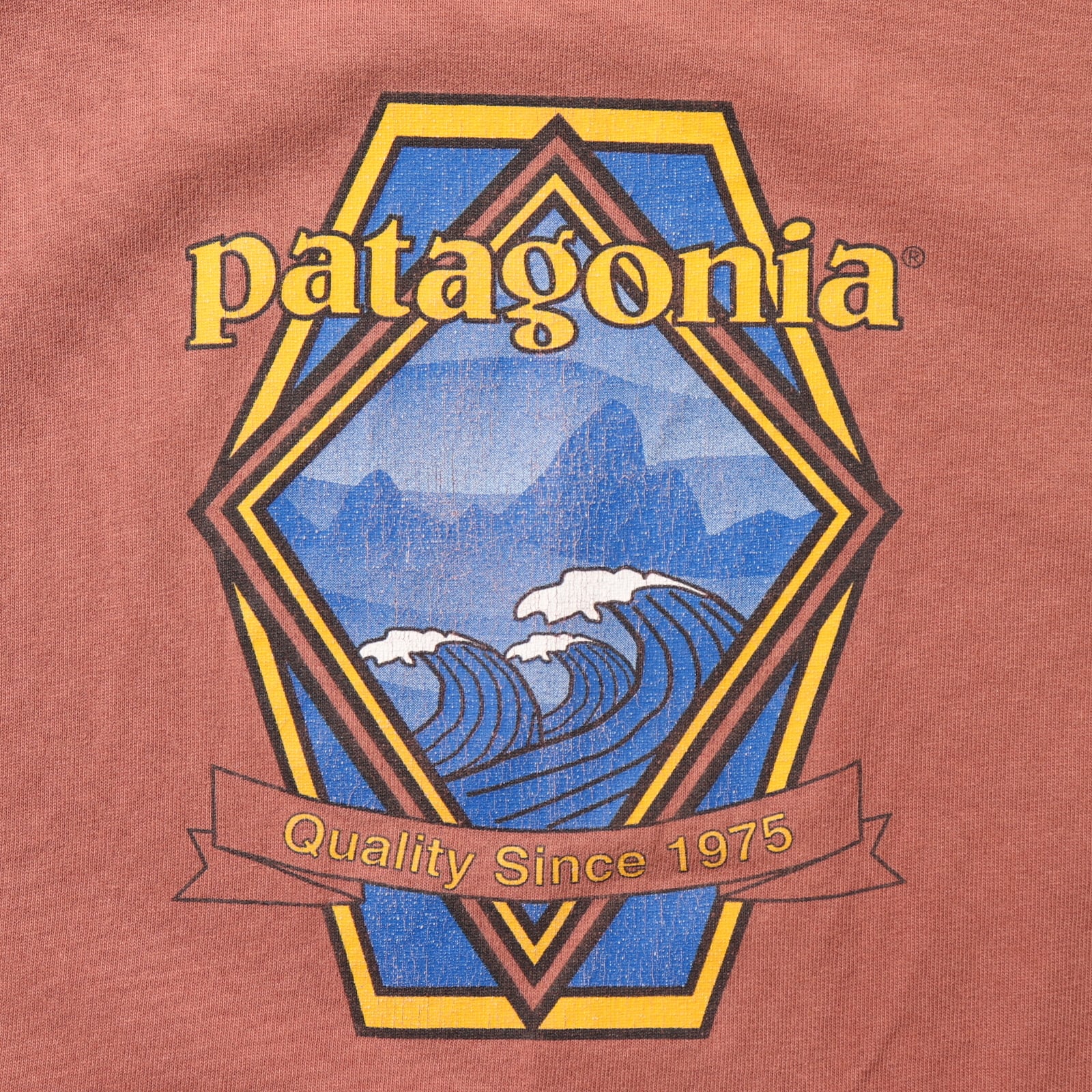 2XL patagonia ベネフィシャル Tシャツ パタゴニア 赤褐色 波
