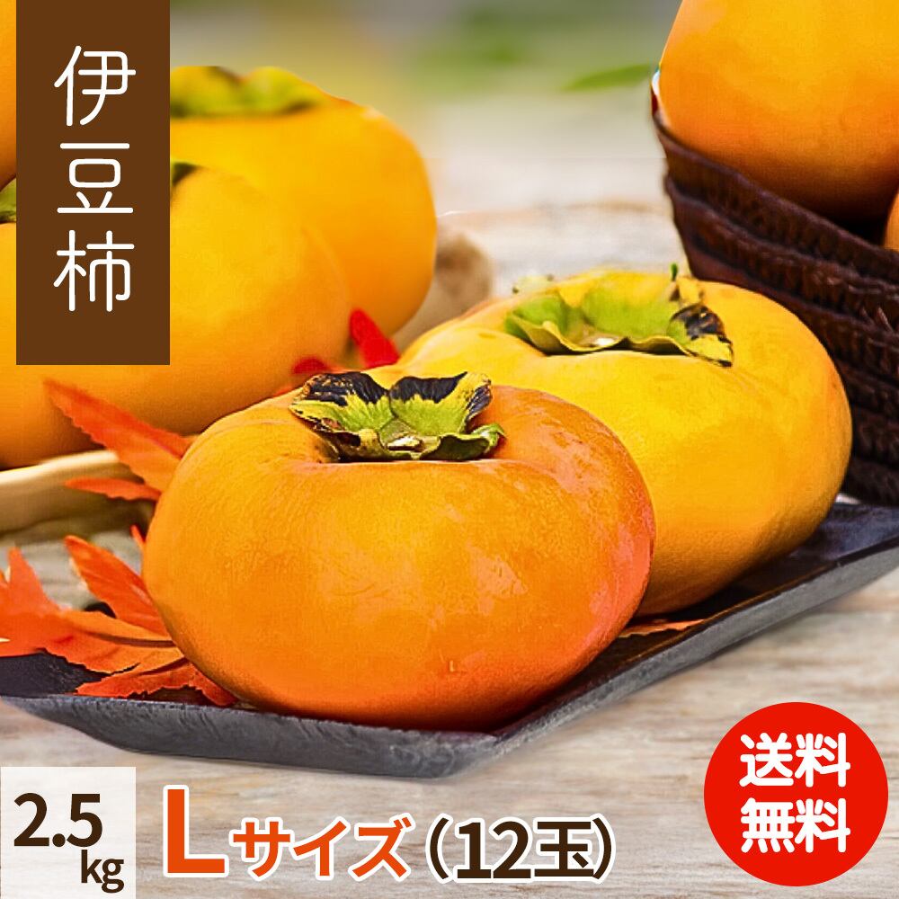 2025年産】【10月下旬発送】伊豆柿 2 L 11玉（2.5kg） | 柿の通販