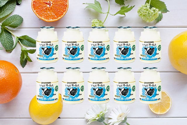 ギフト】飲むヨーグルト「いちだヨーグルト」150ml×10本（贈答・ギフト