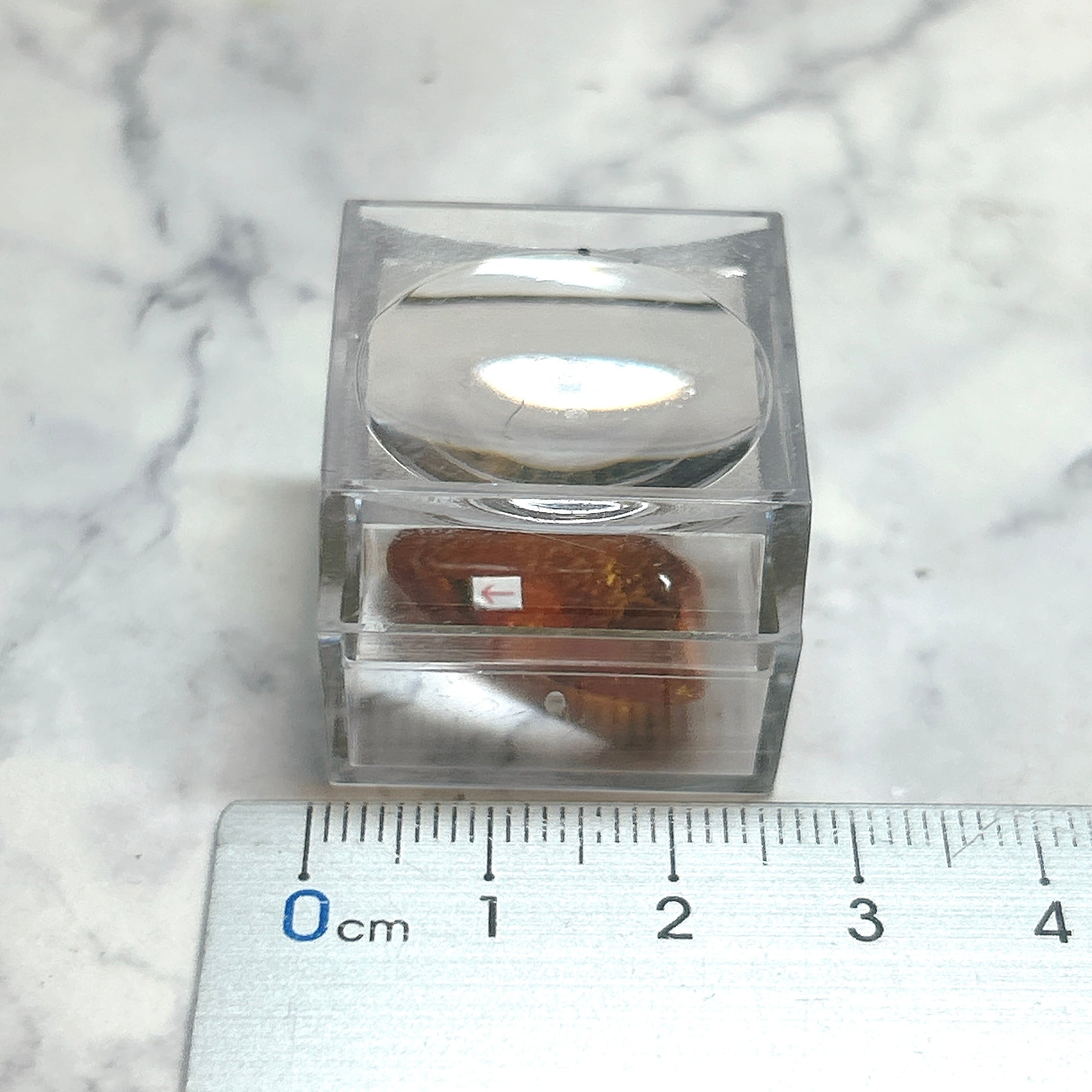 E19312】 虫入り琥珀 虫入り 琥珀 こはく コハク 化石 虫入りコハク