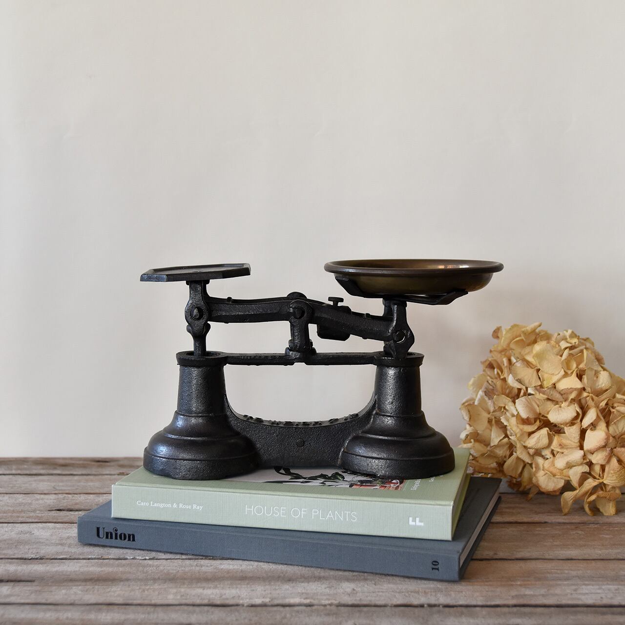 Iron & Brass Balance Scale / 真鍮のお皿が付いた英国アンティークの