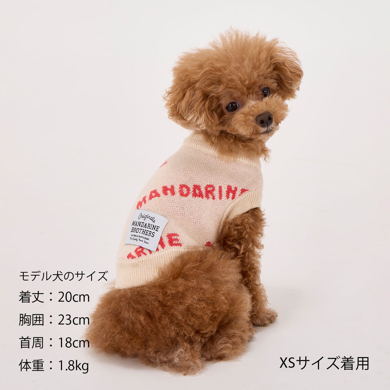 MNDRN LOGO KNIT（M.MD.L）マンダリンロゴニット | MANDARINE BROTHERS