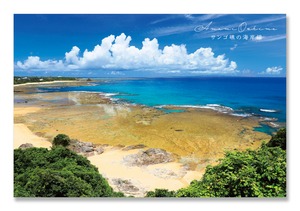 奄美ポストカード「サンゴ礁の海岸線」