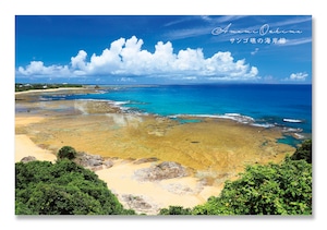 奄美ポストカード「サンゴ礁の海岸線/土浜」