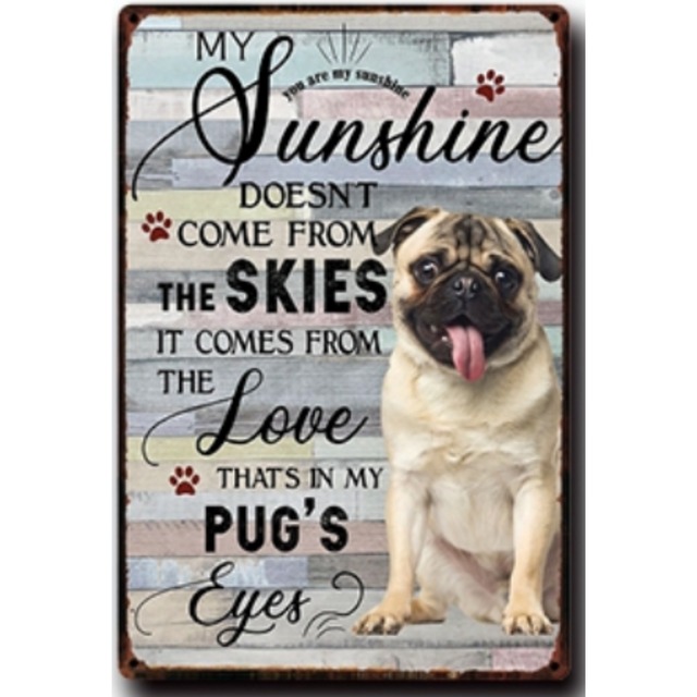 Wall decoration  -pug eyes-　　dc-36