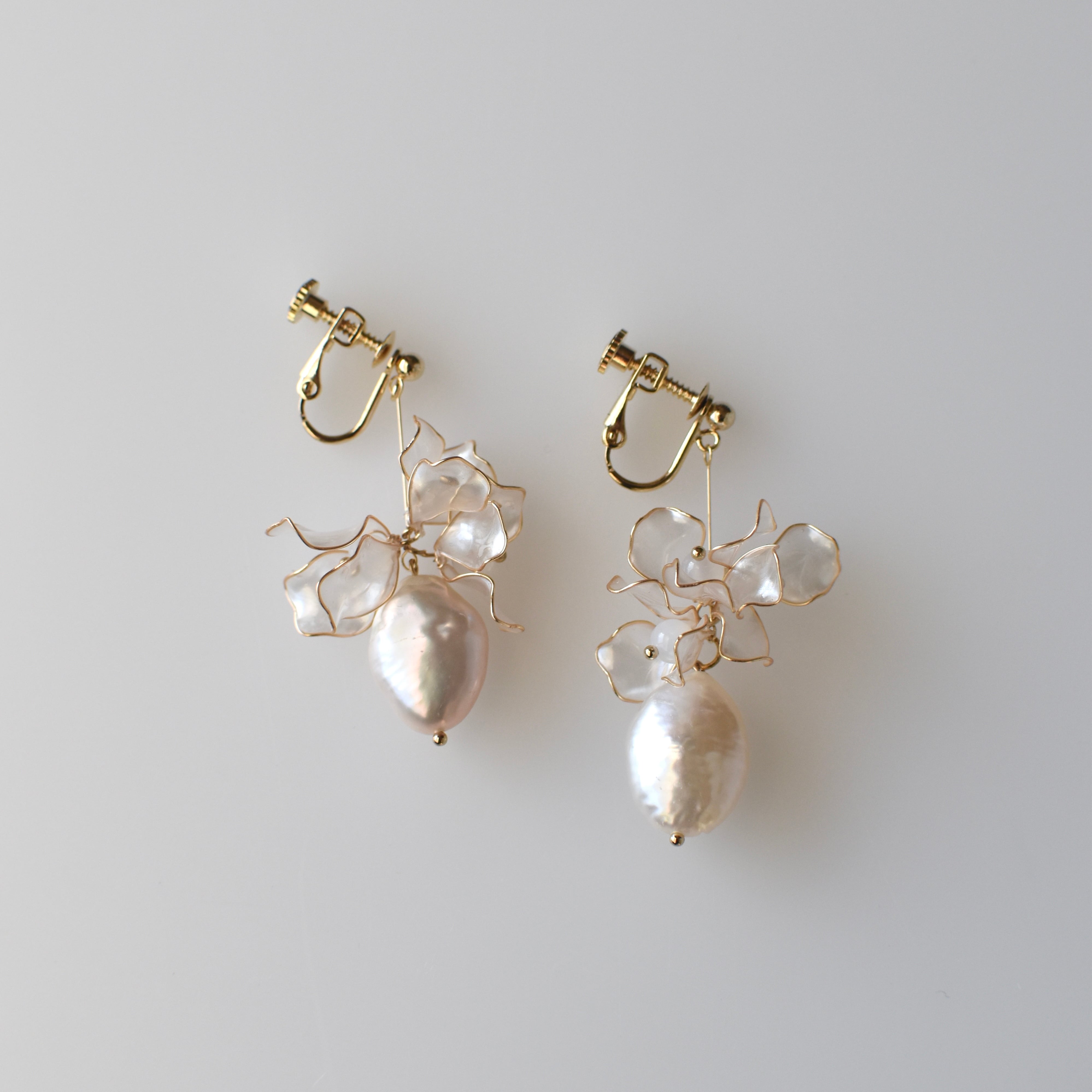 Petit Briller プチブリエ