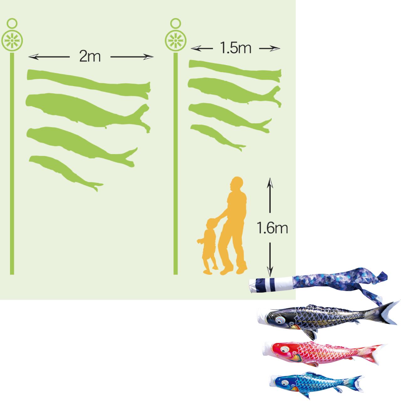 千寿ガーデンセット　１.５M６点セット（徳永鯉のぼり）