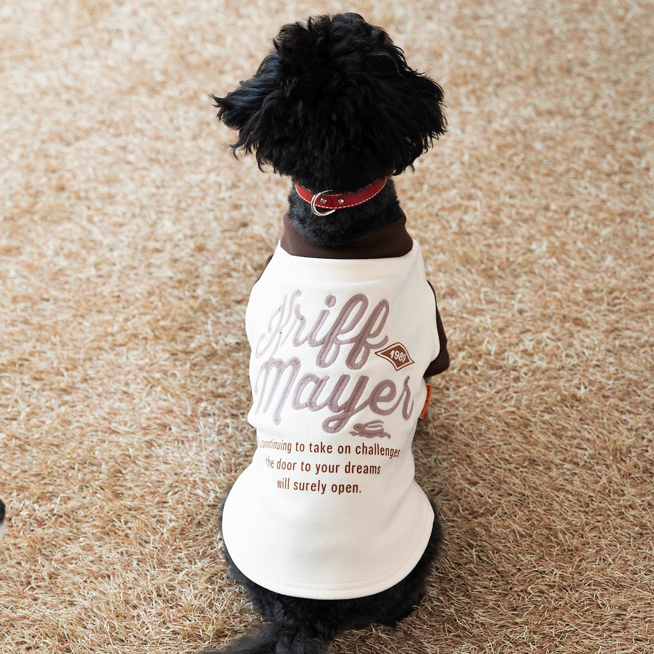 DOGもちのびT（NATURAL×BROWN）