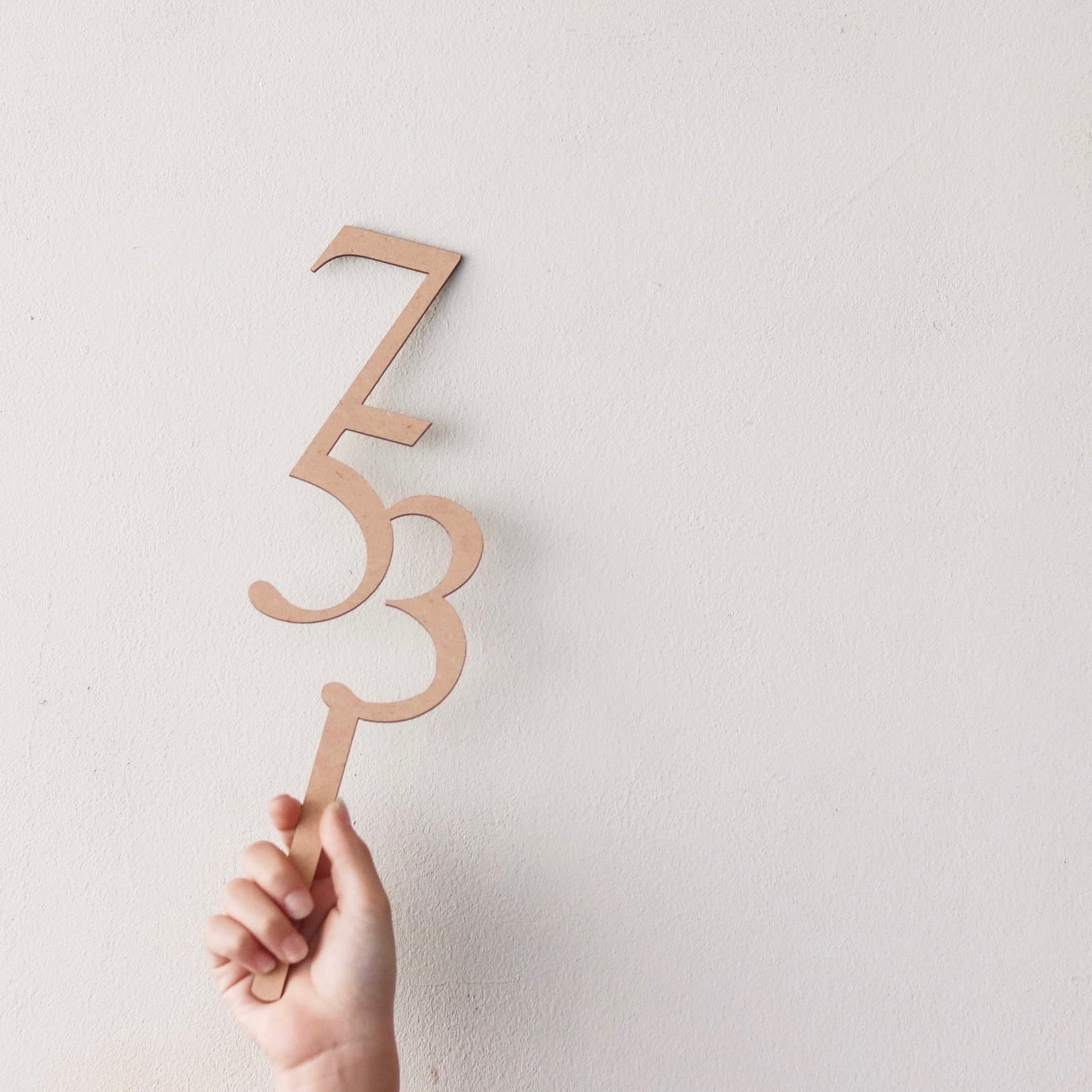 W042 【 753 Big Topper Type-A 】 七五三 トッパー 撮影アイテム