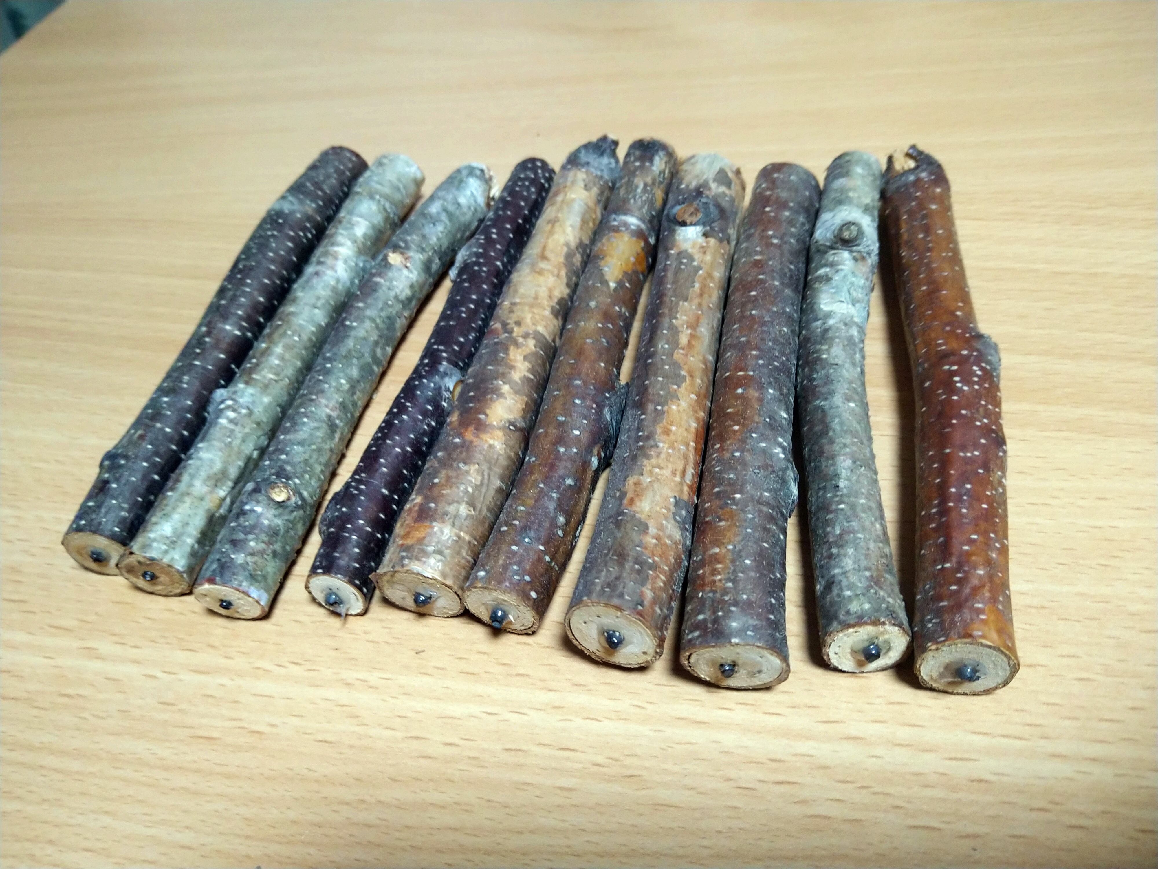 木工クラフト素材】白樺輪切り材40枚 3サイズ選べます | YOKI