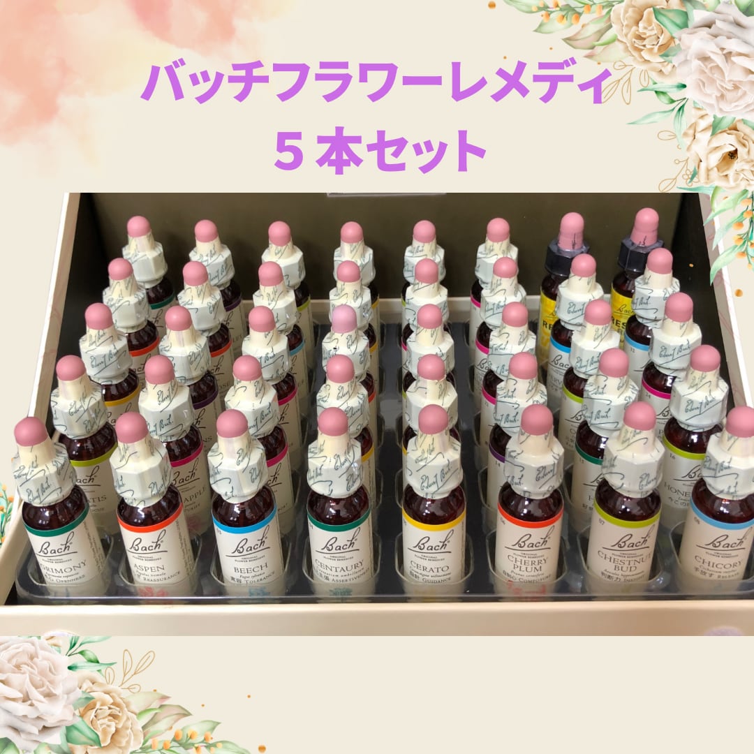 バッチフラワーエッセンス エインズワース社 40本フルセット バッチ