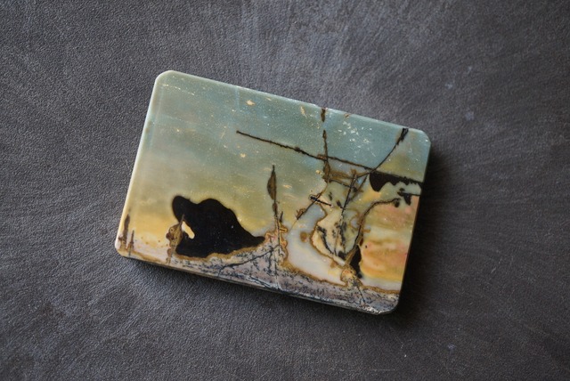 チェリークリーク・ジャスパー　Cherry Creek Jasper 831