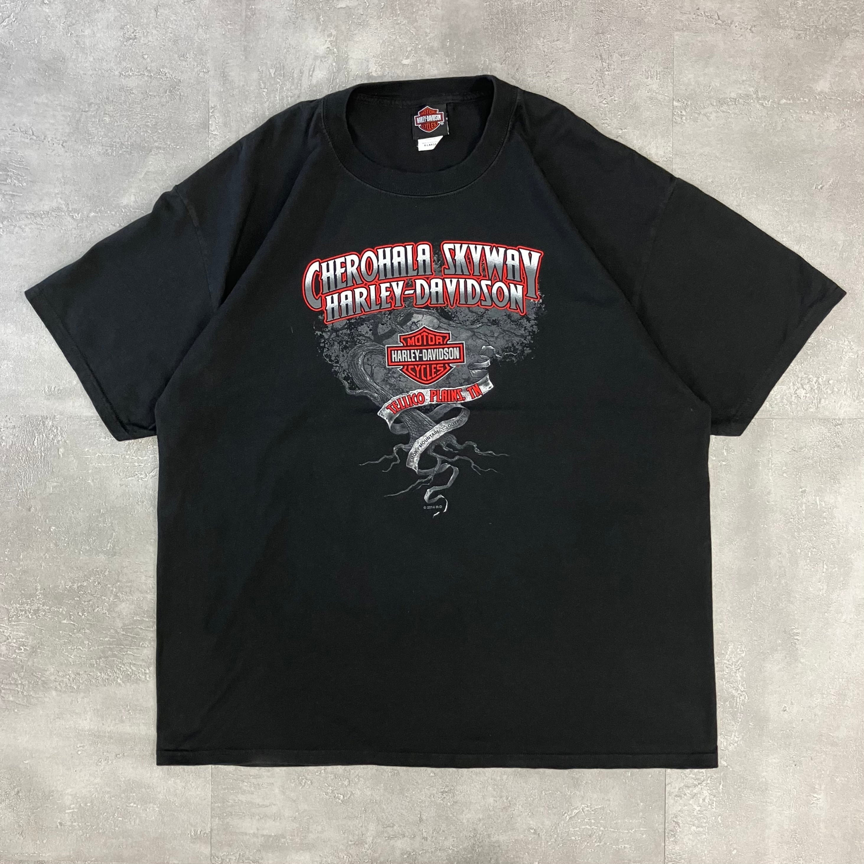 《XL size》Harley-Davidson ハーレーダビッドソン 両面プリントTシャツ ブラック No.3190