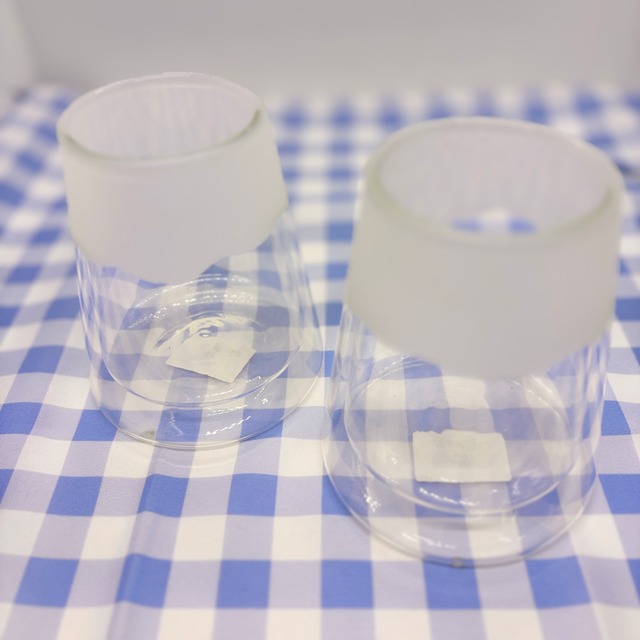 吉祥　富士山グラス  [カラー: 富士山]