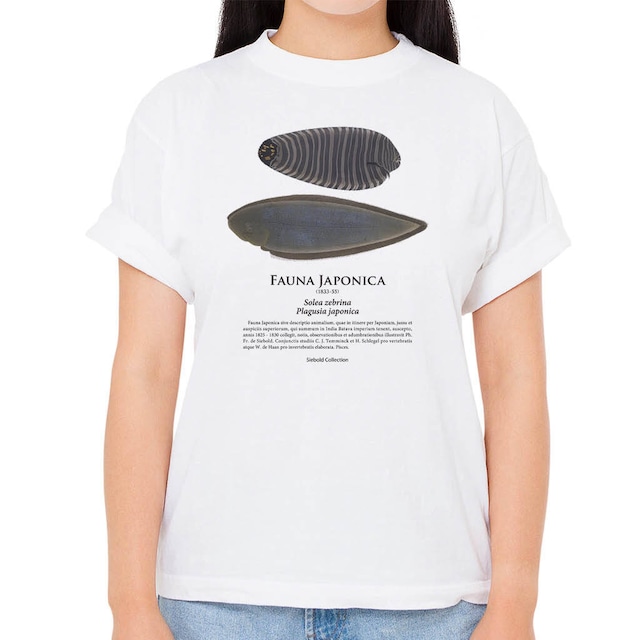 【シマウシノシタ・クロウシノシタ】シーボルトコレクション魚譜Tシャツ（高解像・昇華プリント）