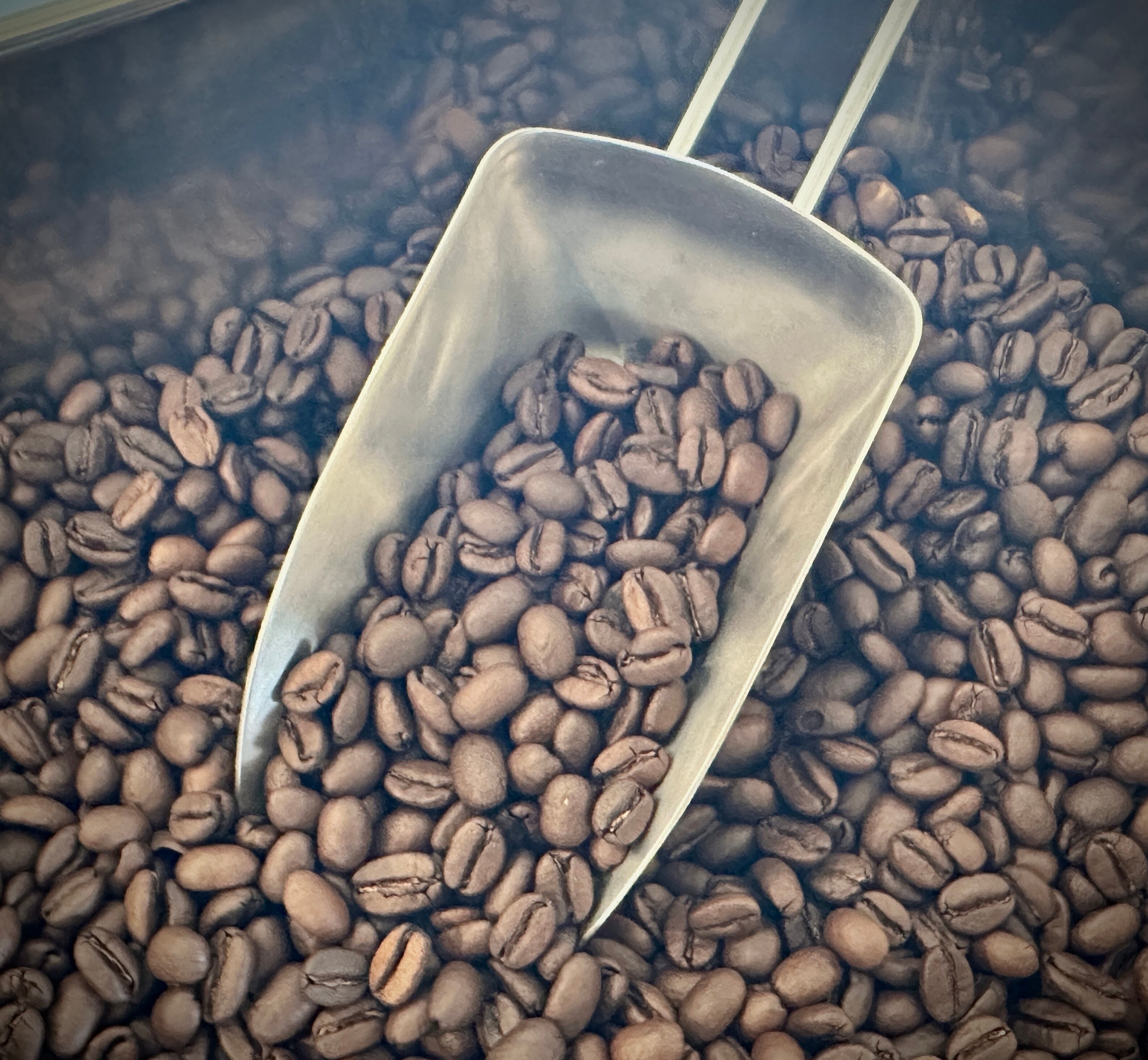 ブラジルのショカーリョ/ Brazilian Chocalhos Large ブラジル】ショコラ 180g - ブエノスアイレスコーヒー BUENOS AIRES