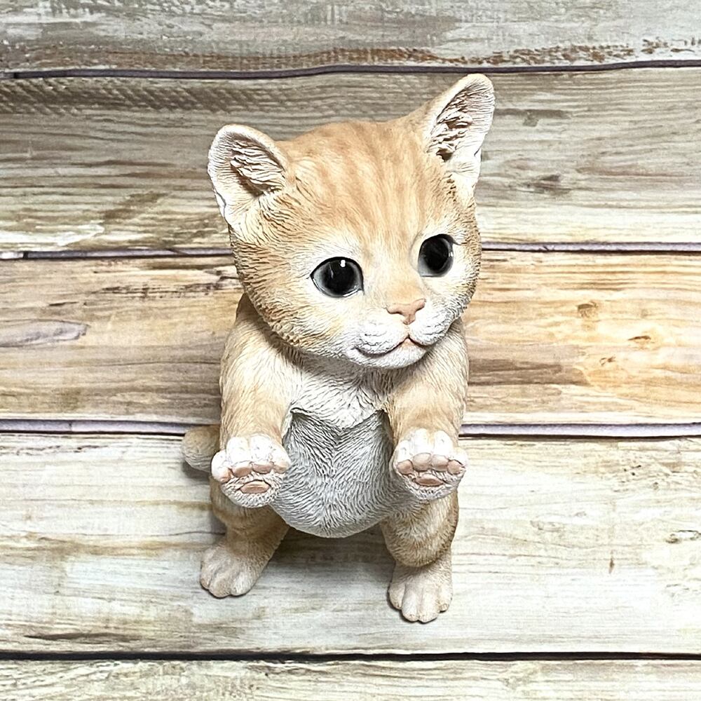 窓の外を眺める子猫