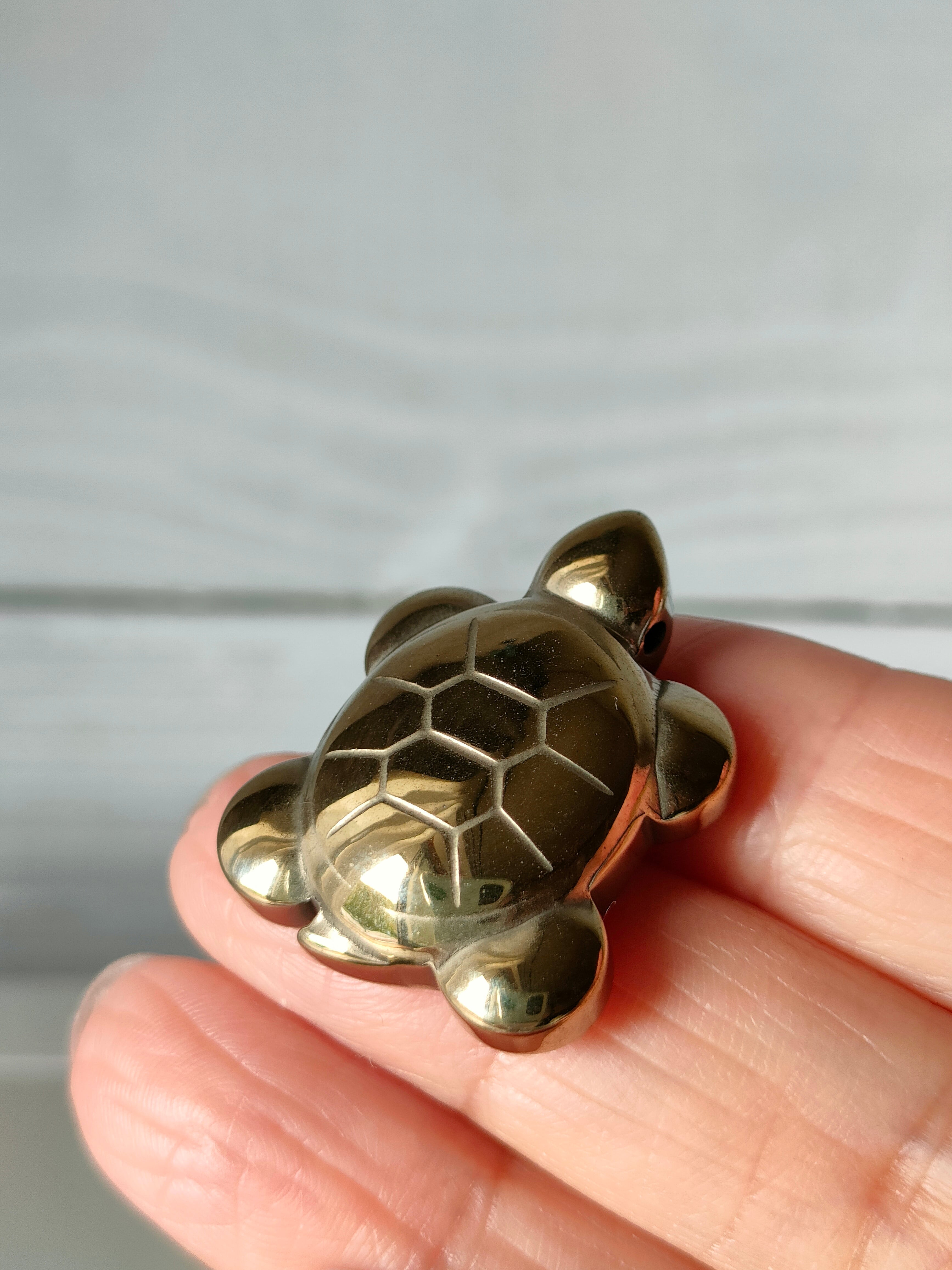 パイライト カメさん